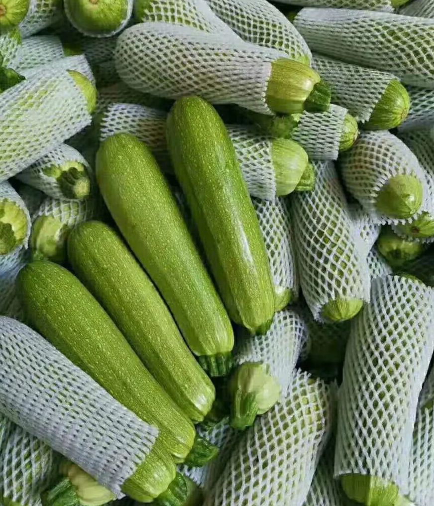 绿皮西葫芦 西葫芦 生瓜