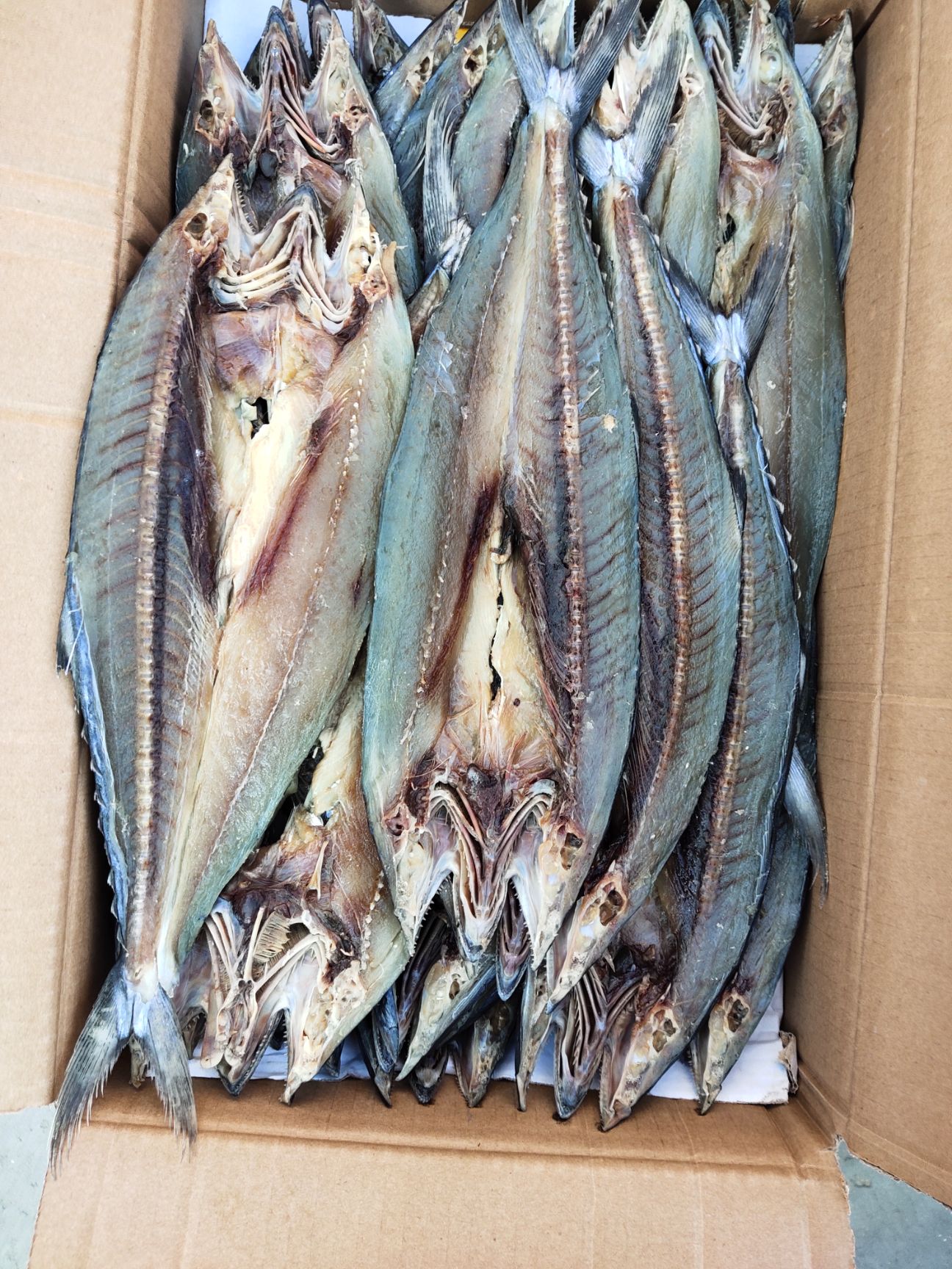 品种名:干 保质期:18-24个月          海产品不支持退货