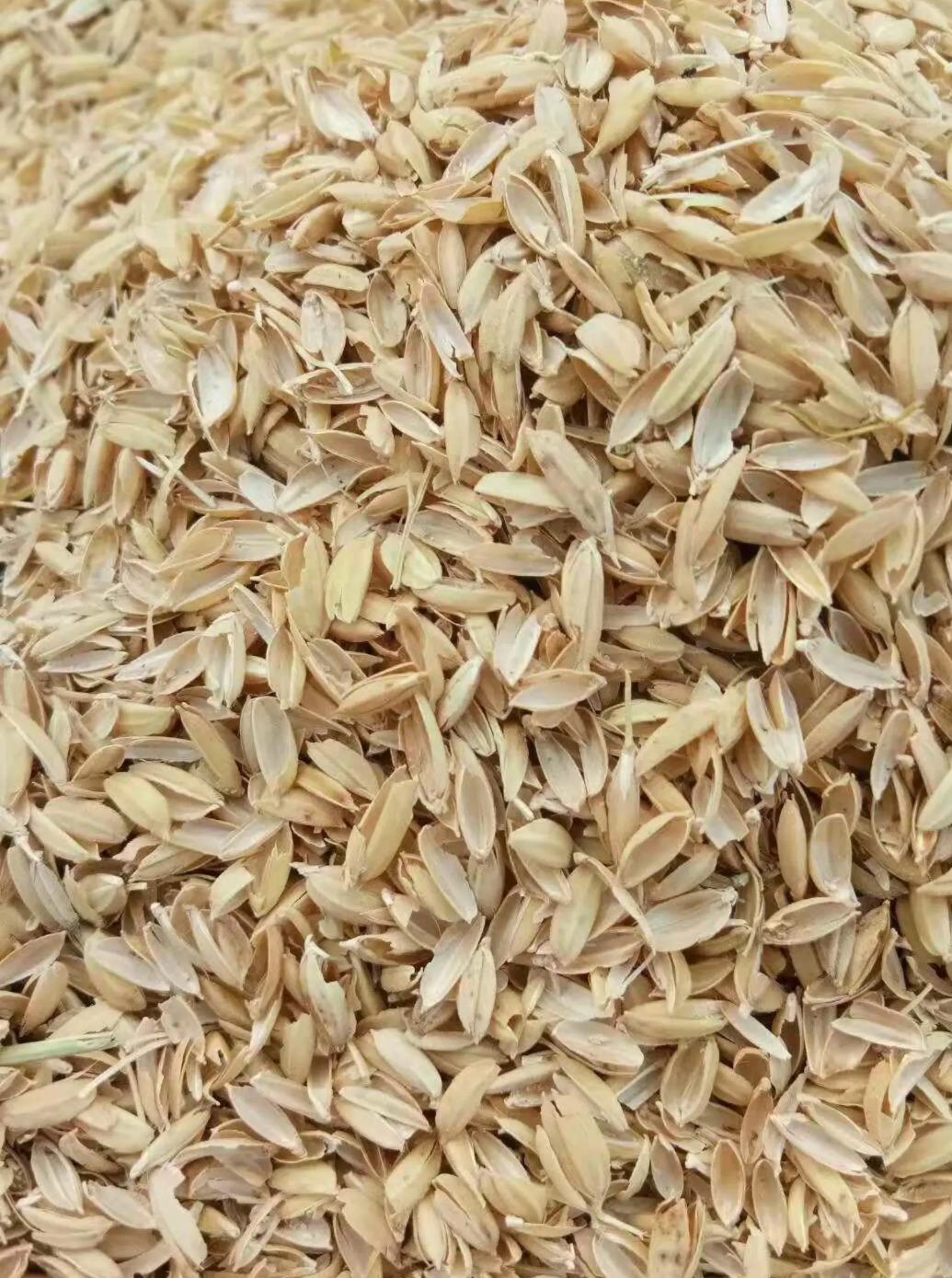 [稻壳批发] 稻壳(原大米圆稻壳)价格600元/吨 - 惠农网