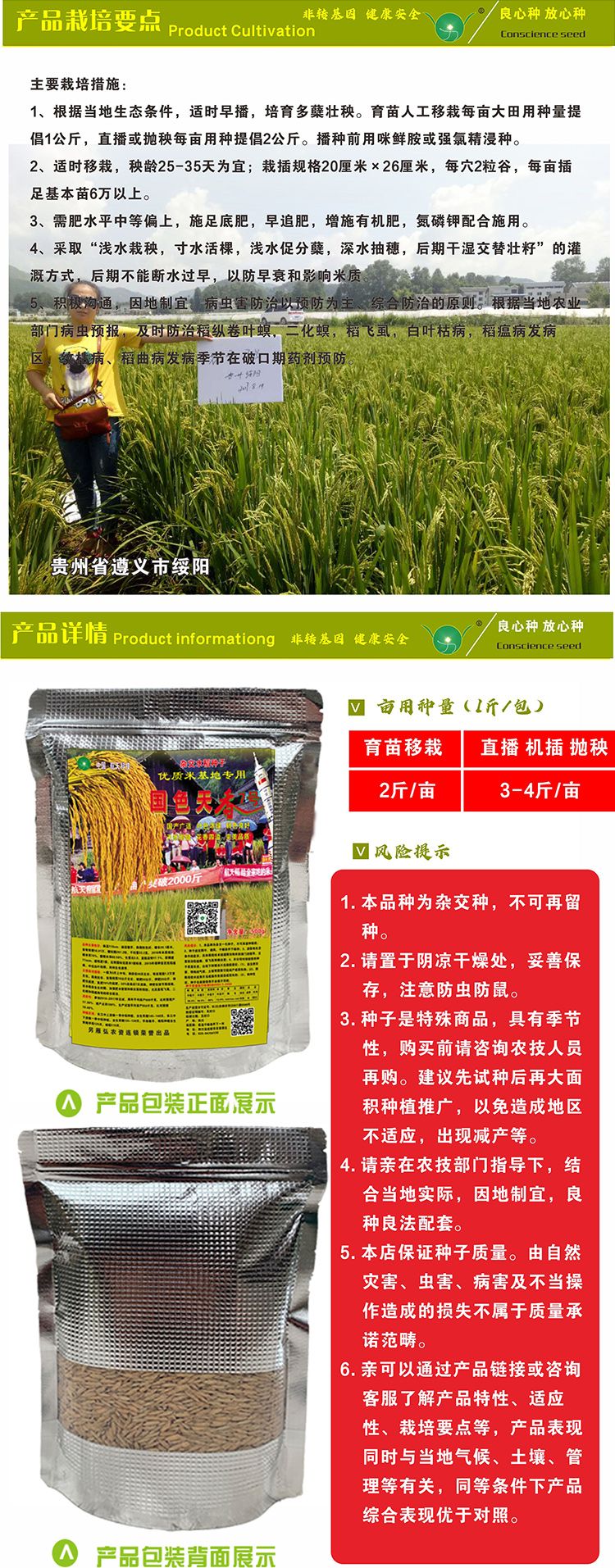 国色天香  航天稻中国泰米高产2000斤杂交水稻种子 香稻 稻谷