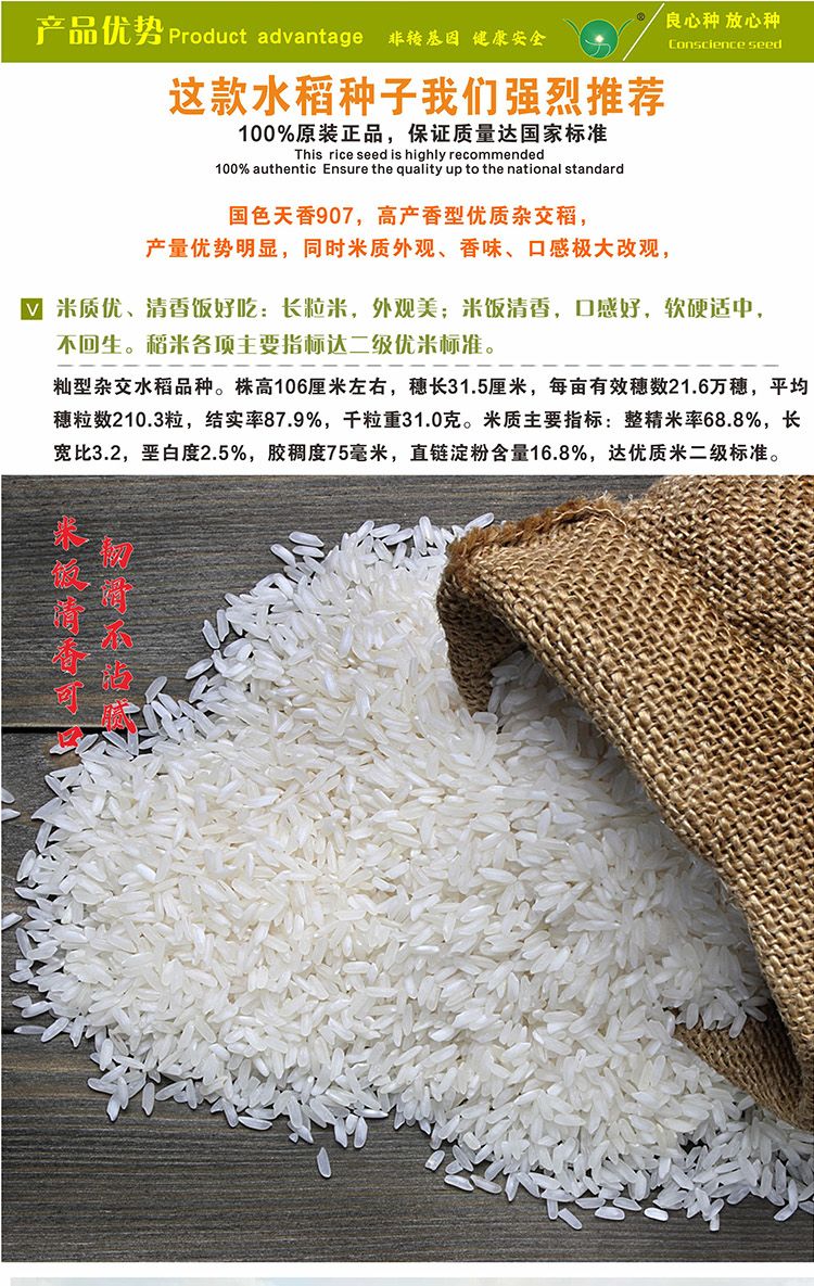 航天稻一级米饭好吃杂交水稻种子高产谷种稻谷正品包邮
