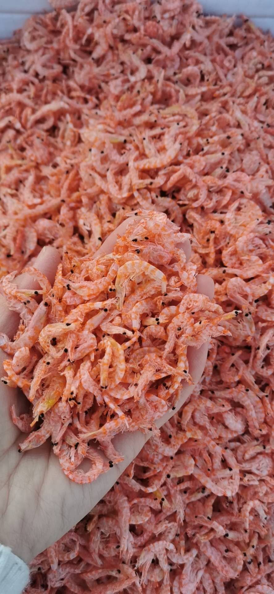 [虾皮批发]磷虾)无盐淡干磷虾皮,不咸,价格80元/箱 惠农网