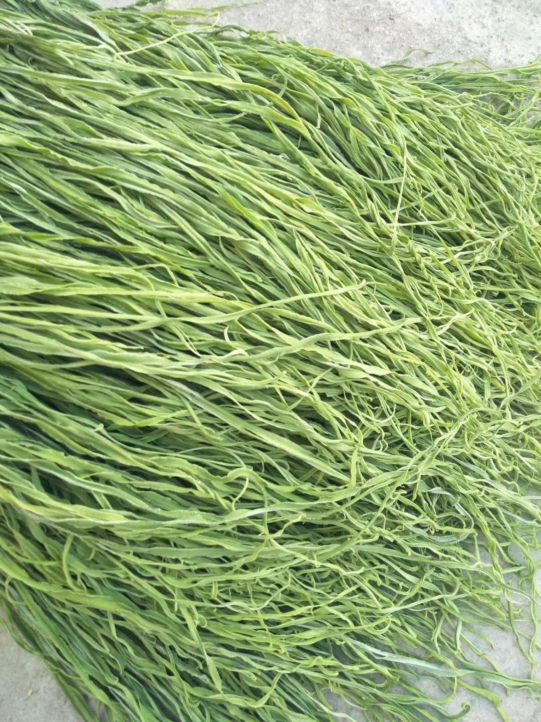 贡菜干 云南产地批发贡菜 苔干 苔菜 响菜 一手货源 无中间商