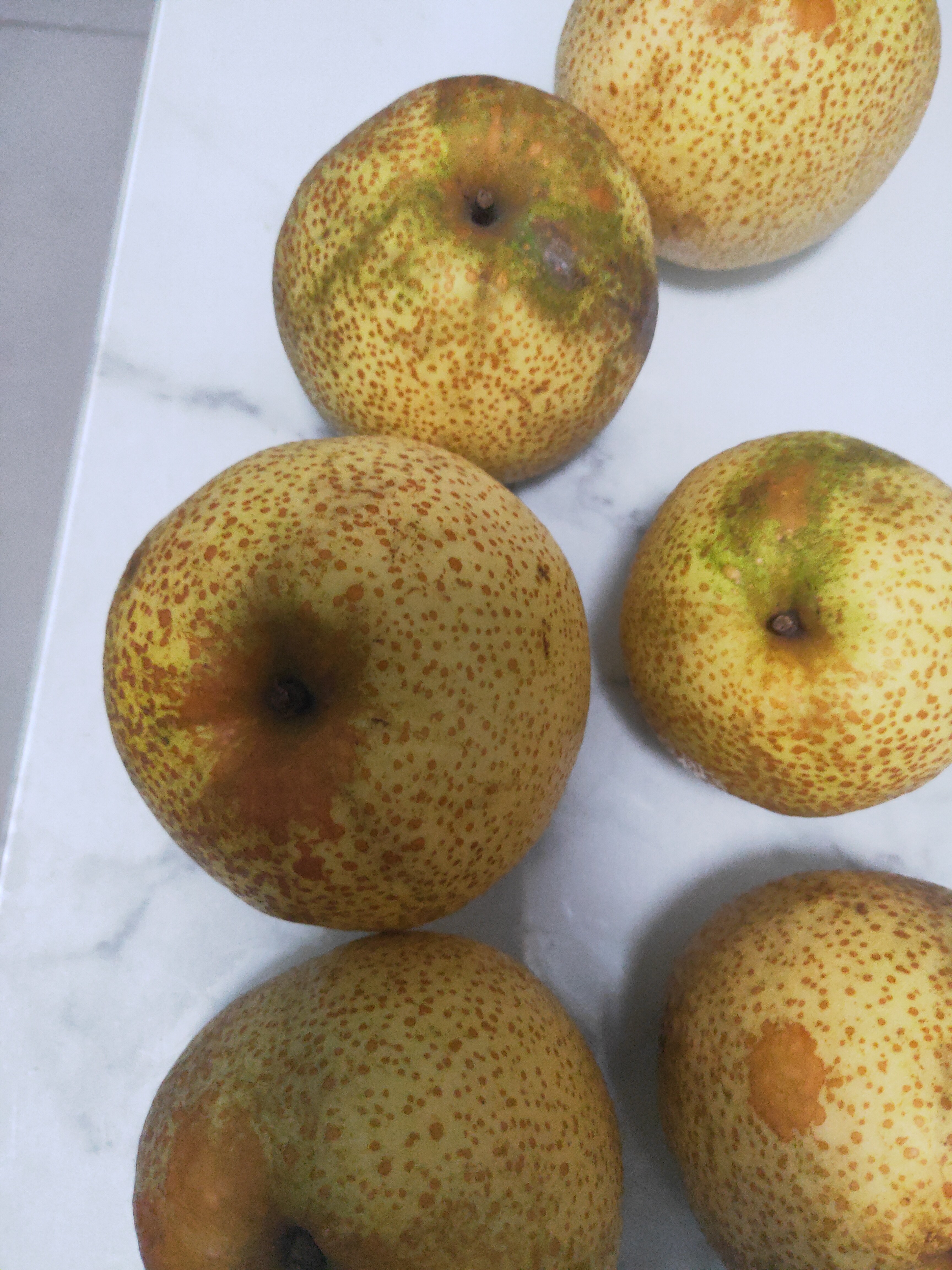 【坏果包赔】砀山梨皇冠梨酥梨10斤带箱水果新鲜水果梨子水果
