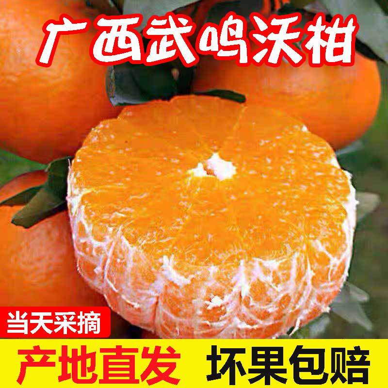 广西武鸣茂谷柑柑新鲜当季水果整箱现摘橘子桔子贵妃柑橘沃柑橘