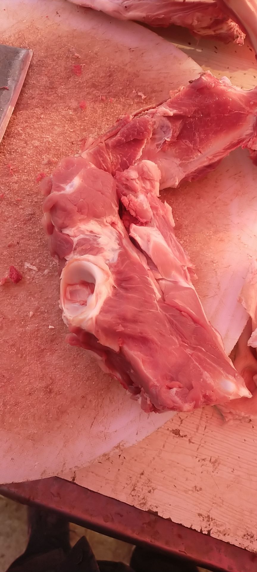 猪排骨 板骨 锁骨 脊骨带肉