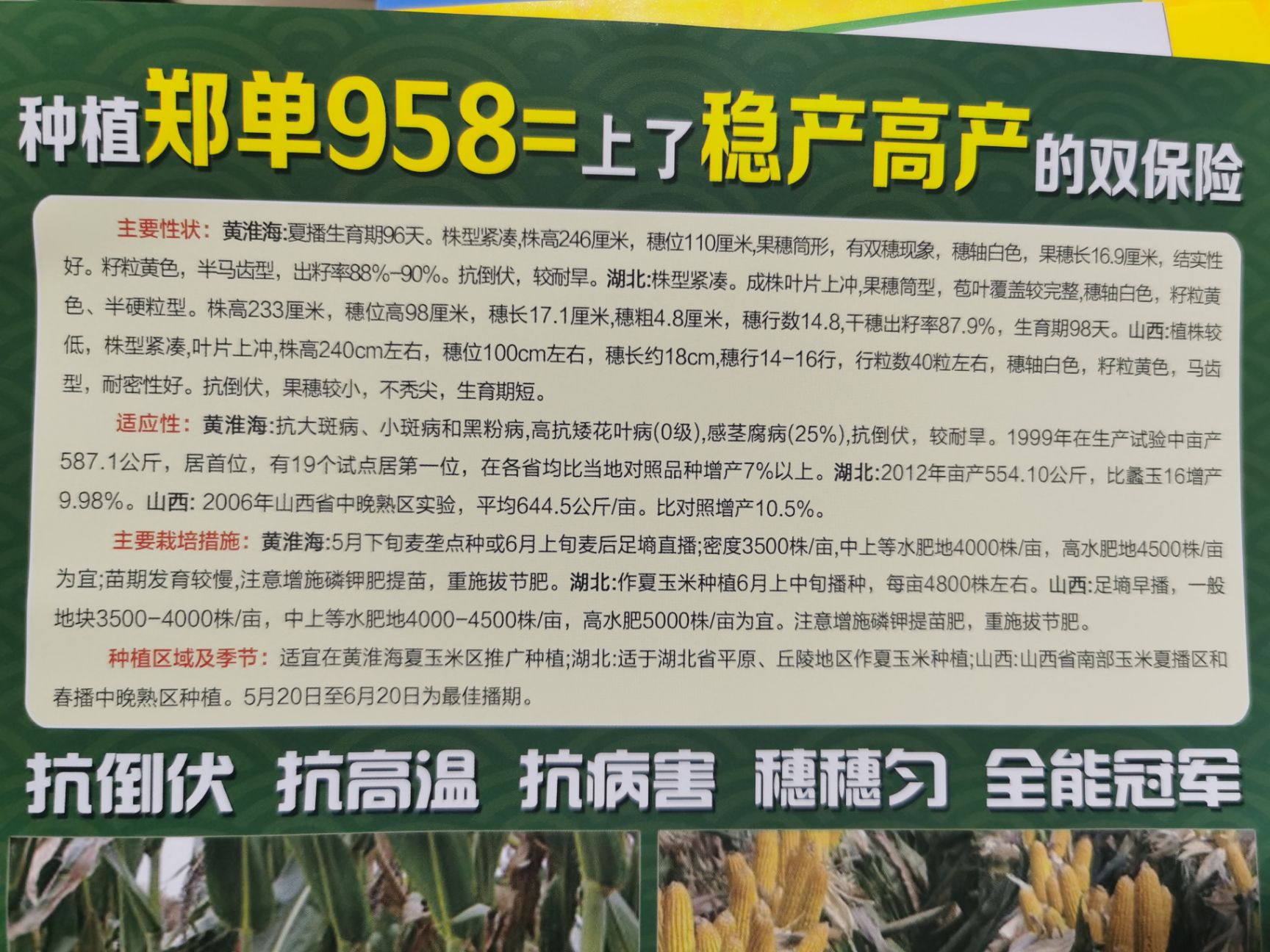 郑单958玉米种子郑单958全国种植面积第一名10袋有豪礼想送数量有限