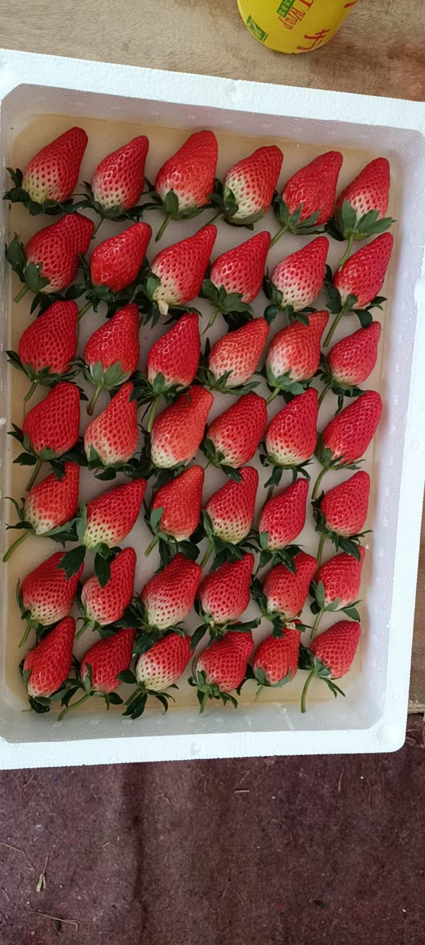 甜宝草莓 奶油草莓,色泽艳丽,口感清香