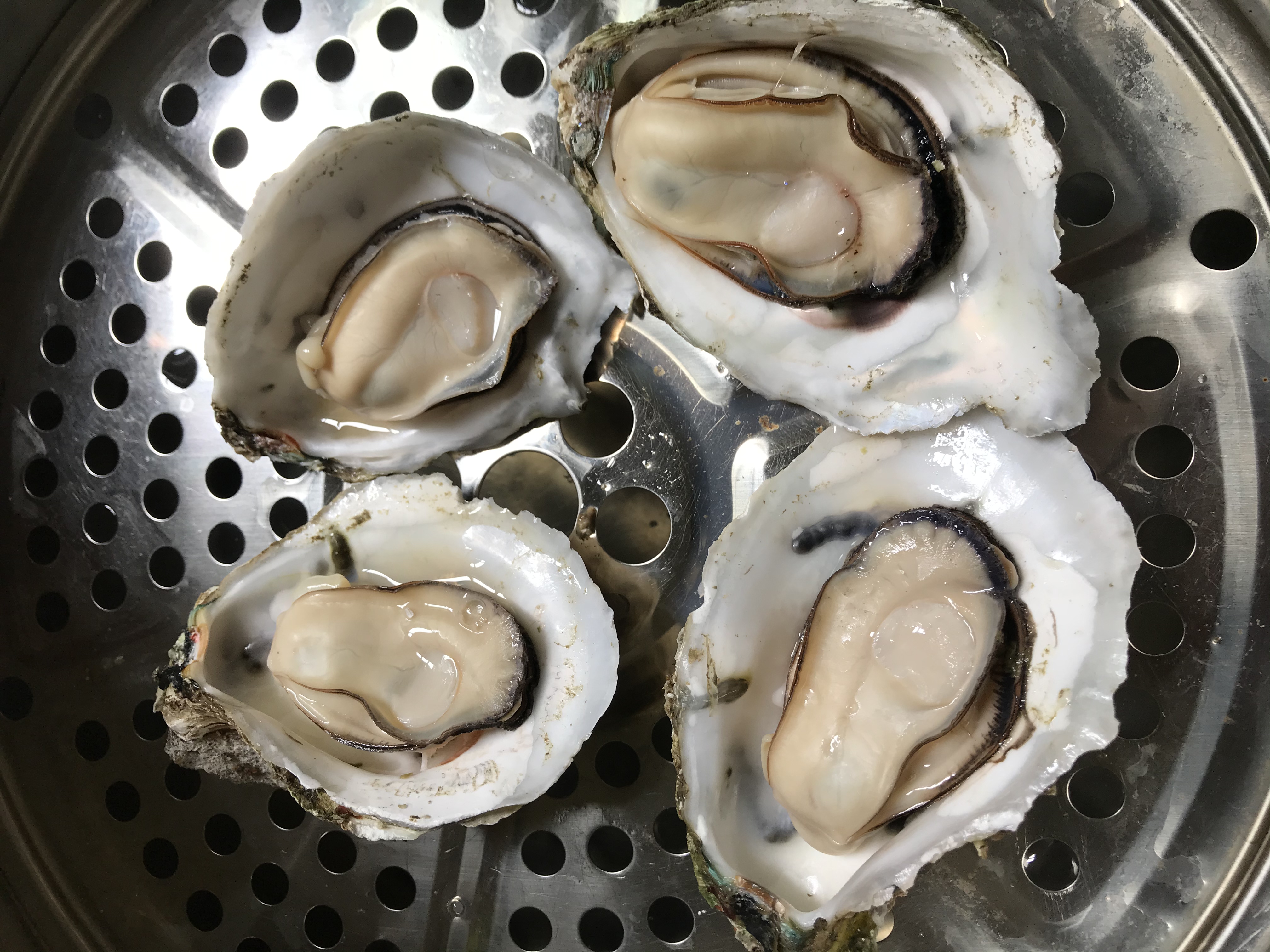 电白牡蛎 在线交易 湛江市小生蚝批发,一箱400个,一斤四五个纯湛江市