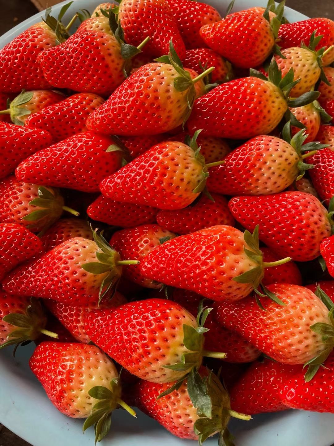 甜宝草莓 甜宝免洗草莓