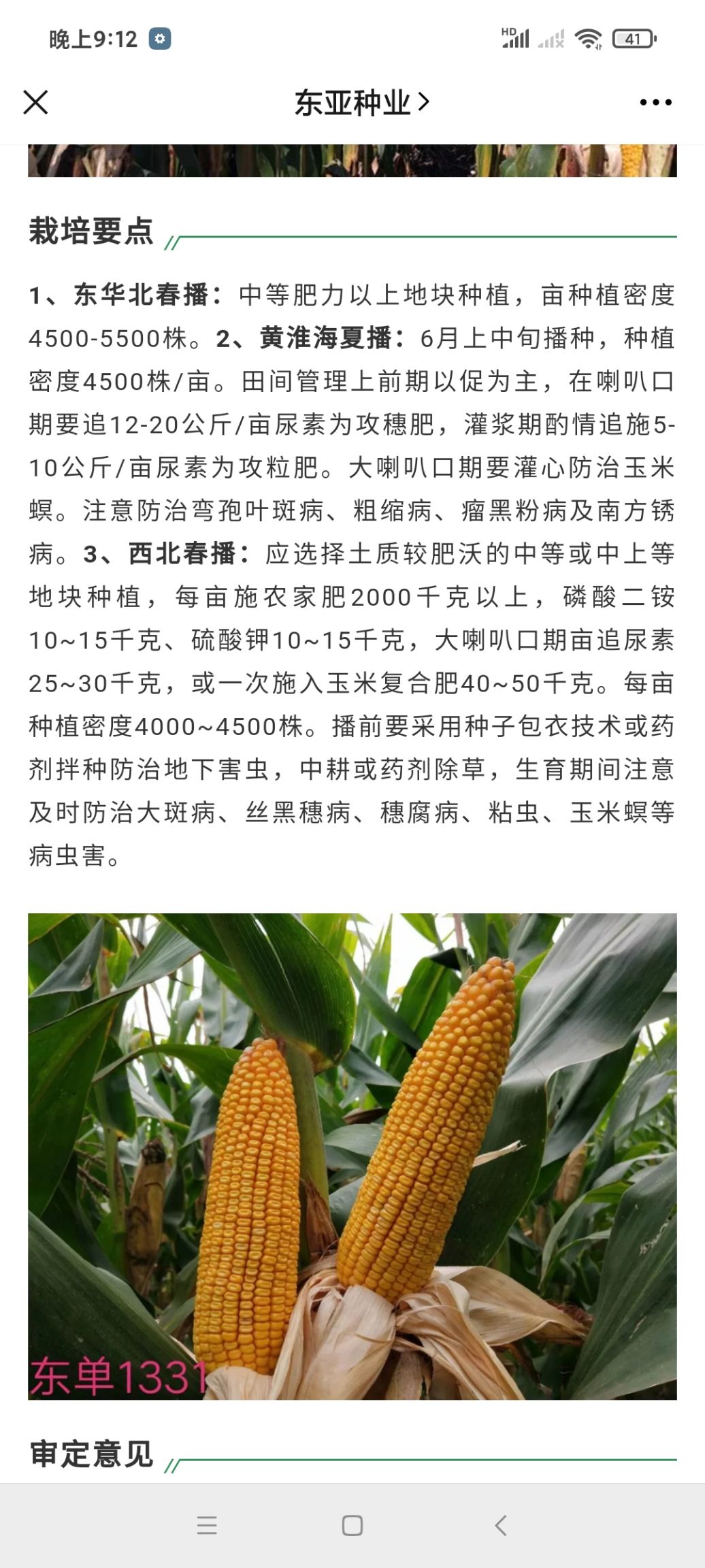 东单1331玉米种子 双国审玉米种子 抗倒伏产量高