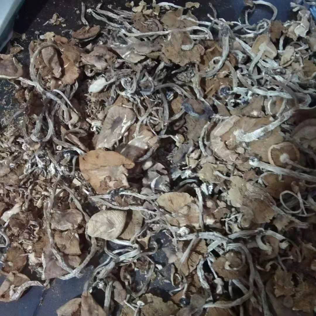 我发的货我很清楚,单看图片第一张我只发现一两根可能是发霉的.