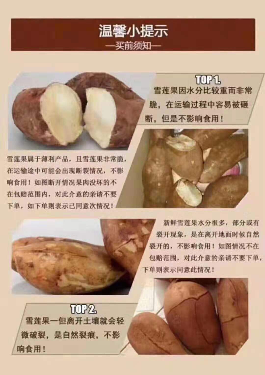 云南天山雪莲果新鲜现挖黄土地雪莲果 云南天山雪莲果