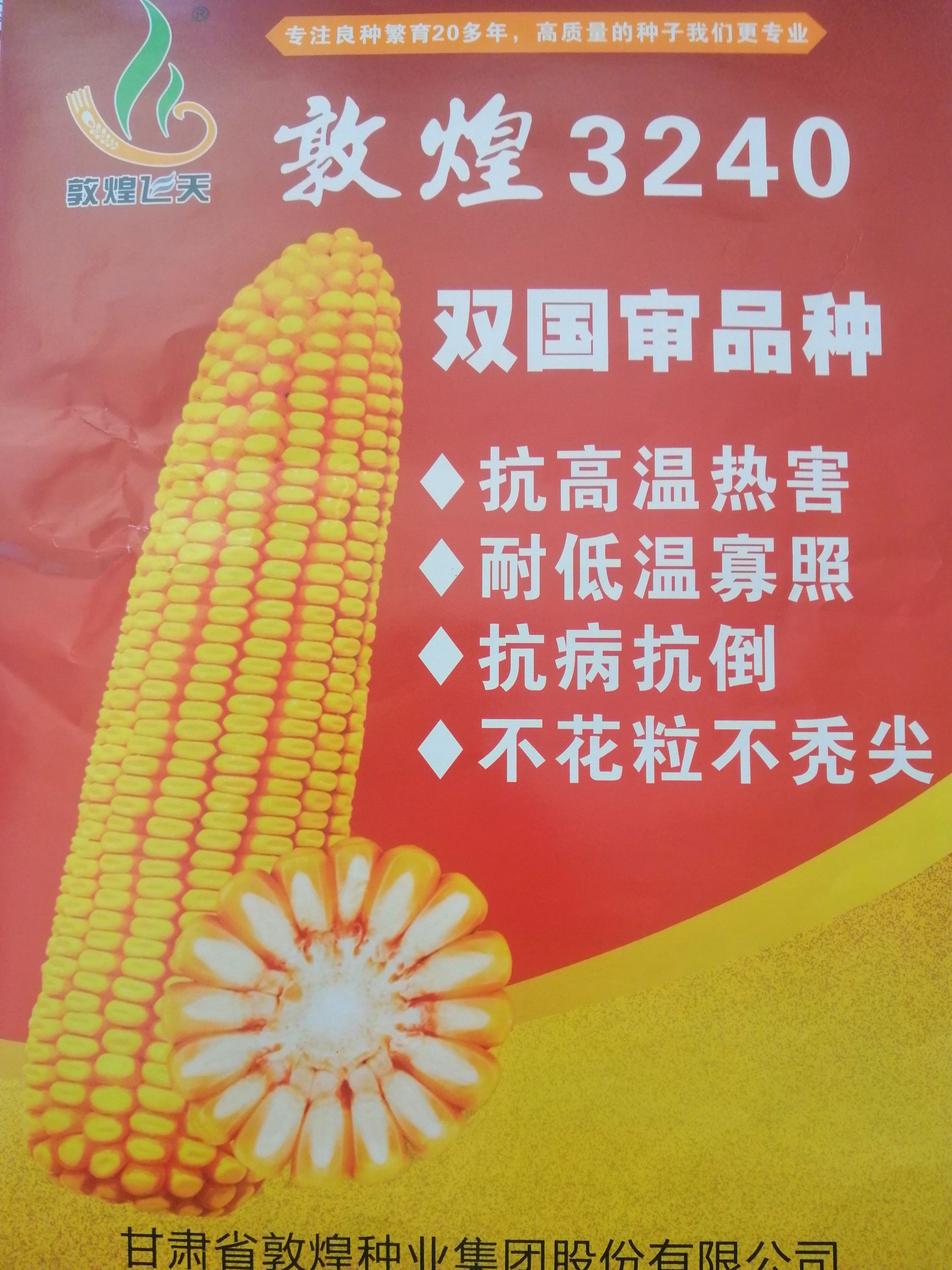 [yf3240玉米种子批发]yf3240玉米种子 yf3240玉米种