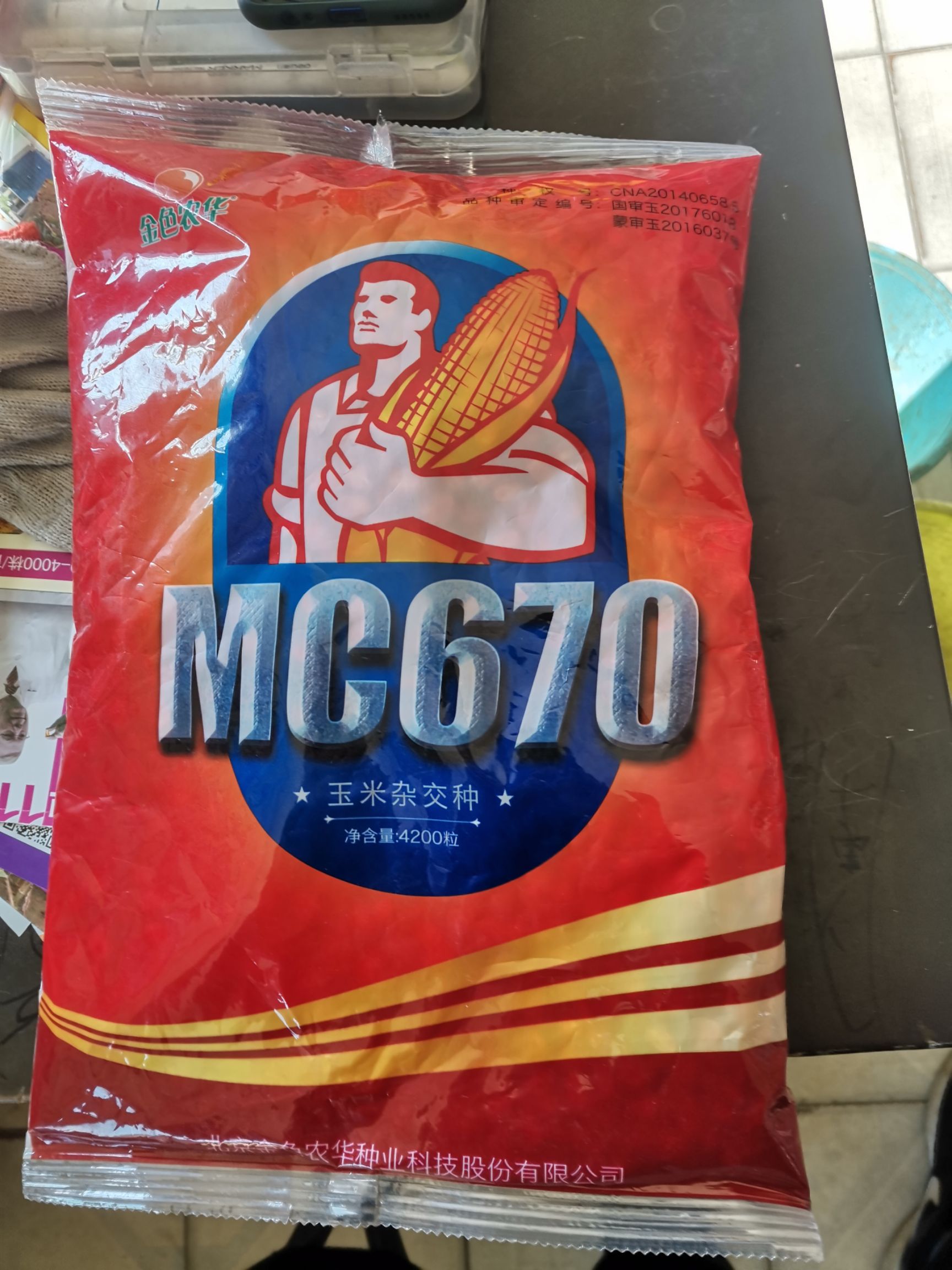 mc670玉米种子 棒子大,品质好,产量高!再创全国最高产纪录亩产3034斤!
