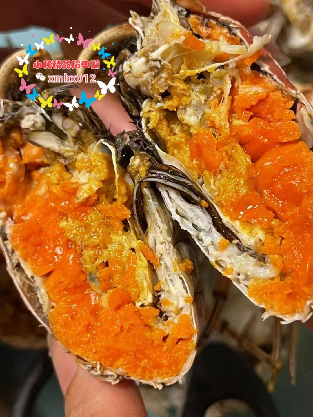 1.5 两 公螃蟹 辽蟹 大闸蟹