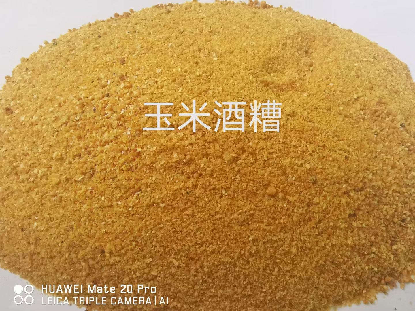 玉米酒糟
