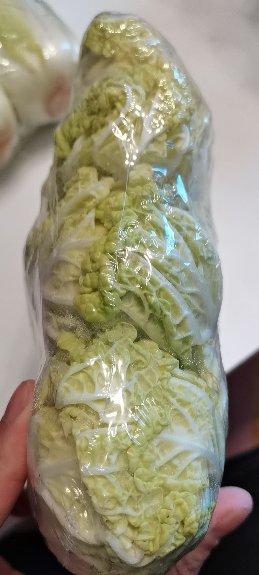 娃娃菜 一包三颗,免费取样0.1每包,仅限一包,货到付款