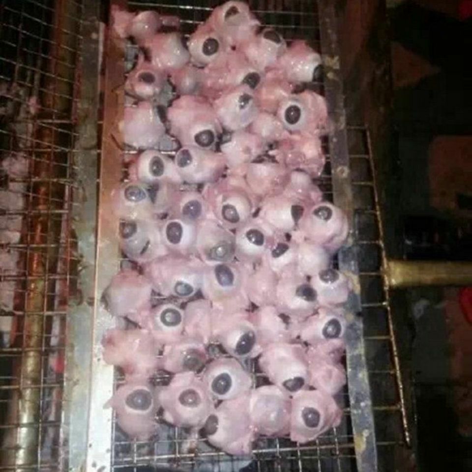 猪眼睛  新鲜冷冻猪眼 猪眼球 眼睛20斤/箱 烧烤火锅饭店食材专用