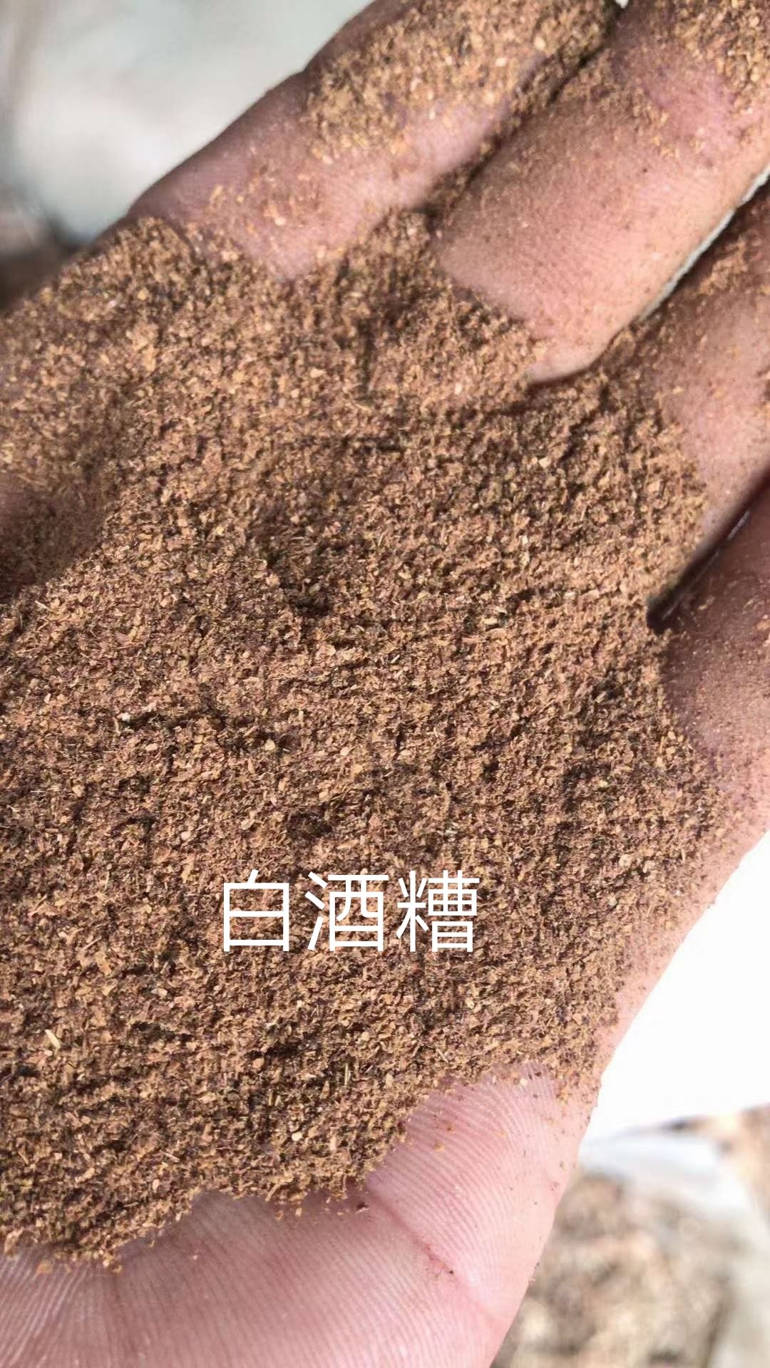 [酒糟批发]酒糟 螺低蛋白13 灰分14左右 浓香型颜色发黄价格960元/吨