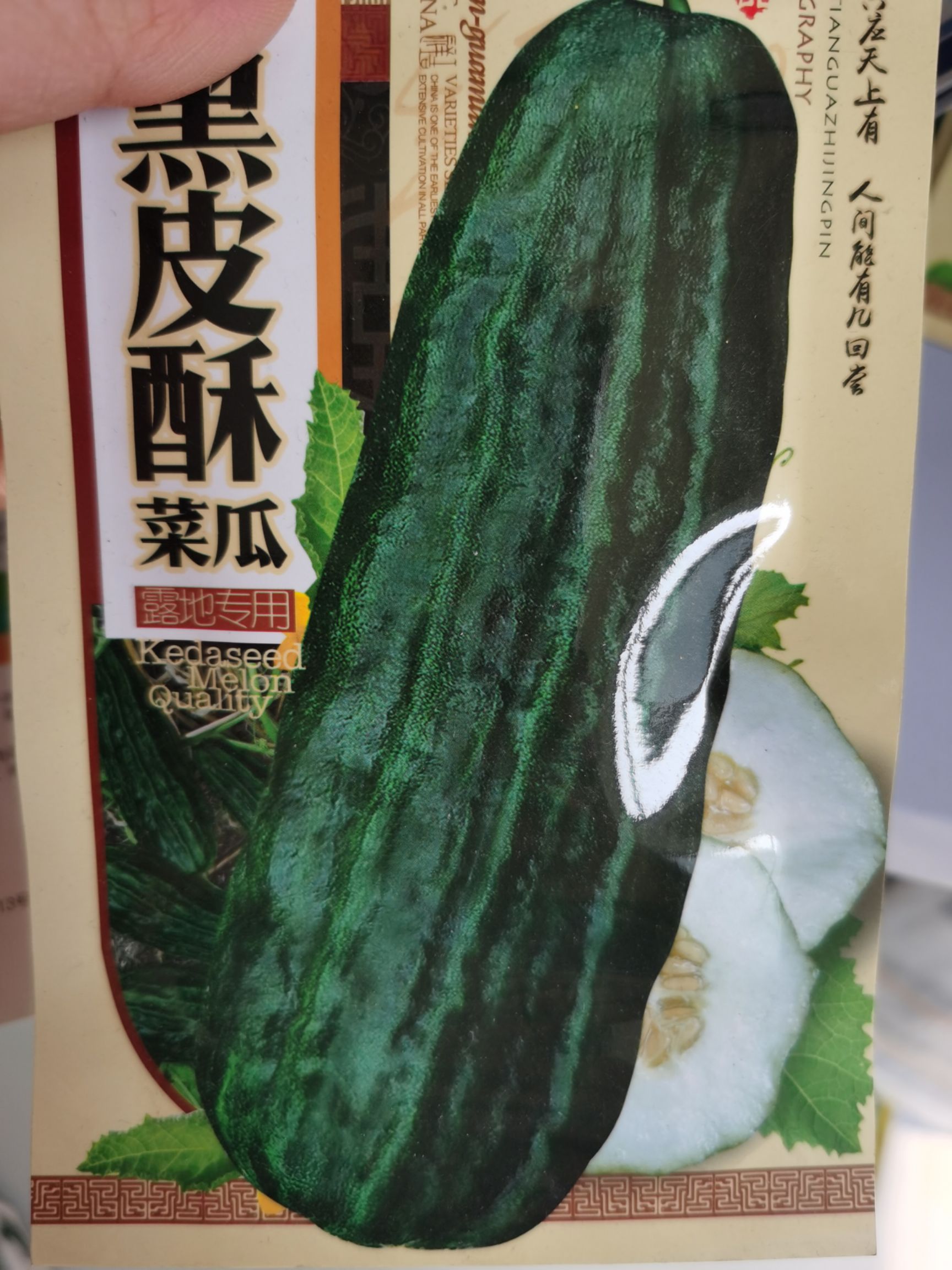 菜瓜种子 黑皮棱子酥种子六棱酥烧瓜脆瓜菜瓜籽生吃腌菜凉拌露天大棚