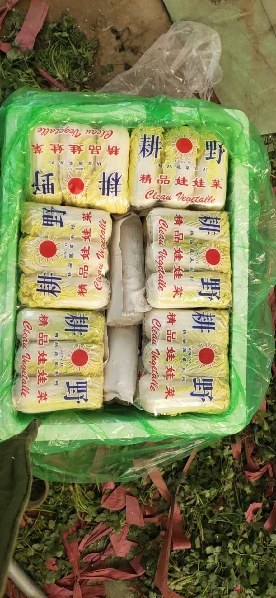 [娃娃菜批发]河北邯郸娃娃菜大量供应价格30元/袋 - 惠农网