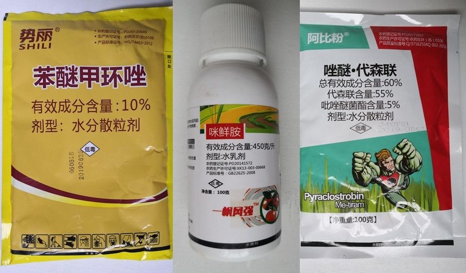 咪鲜胺 苯醚 唑醚代森联砂皮炭疽白 粉落叶黄叶,杀菌加强型(5桶水)