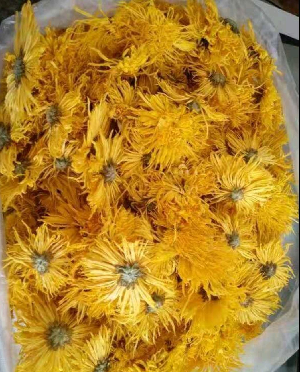 菊花茶  金丝皇菊,,一朵一杯,怕上火就喝它,袋装瓶装精装