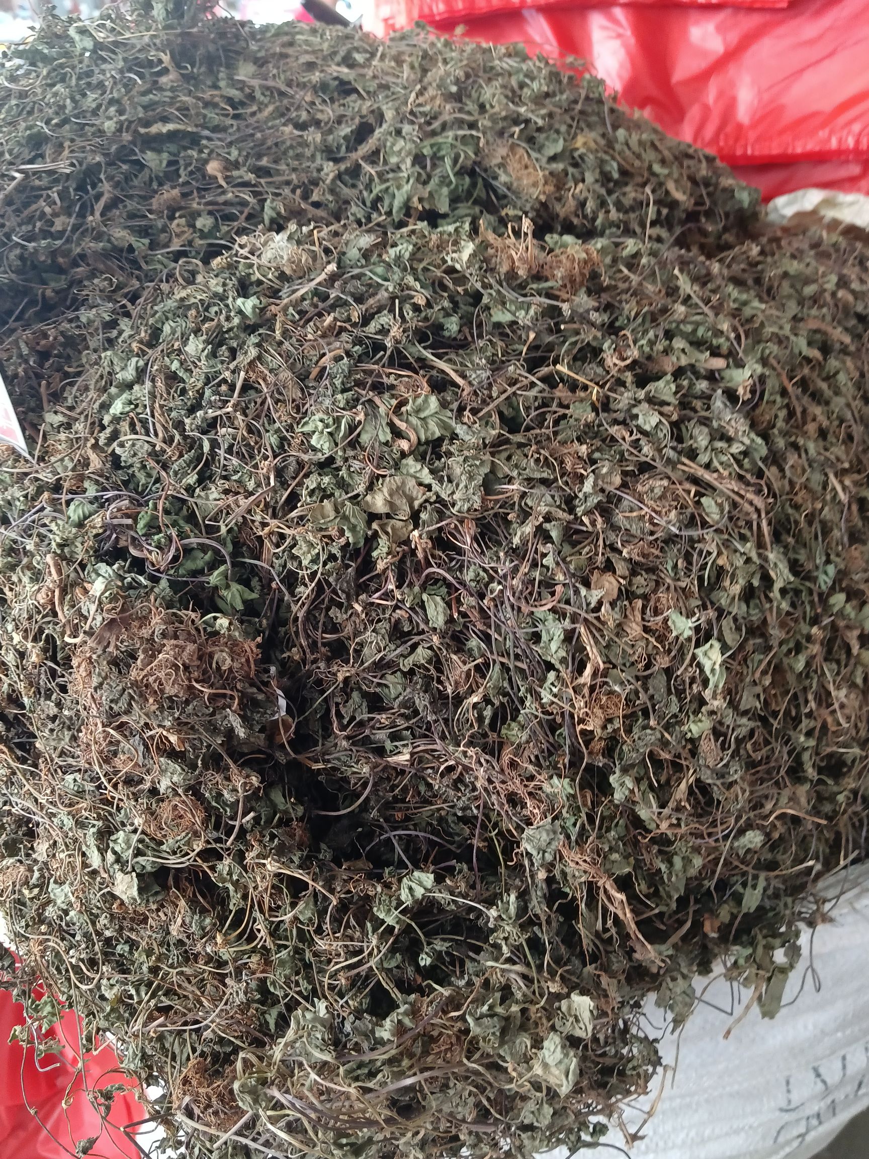 雷公根.崩大碗 灯盏菜马蒂草天胡荽 积雪草量大从优