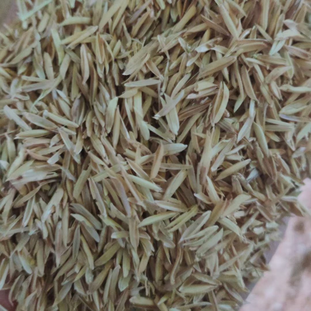 压缩稻壳 稻壳,谷壳,米壳,散装谷壳