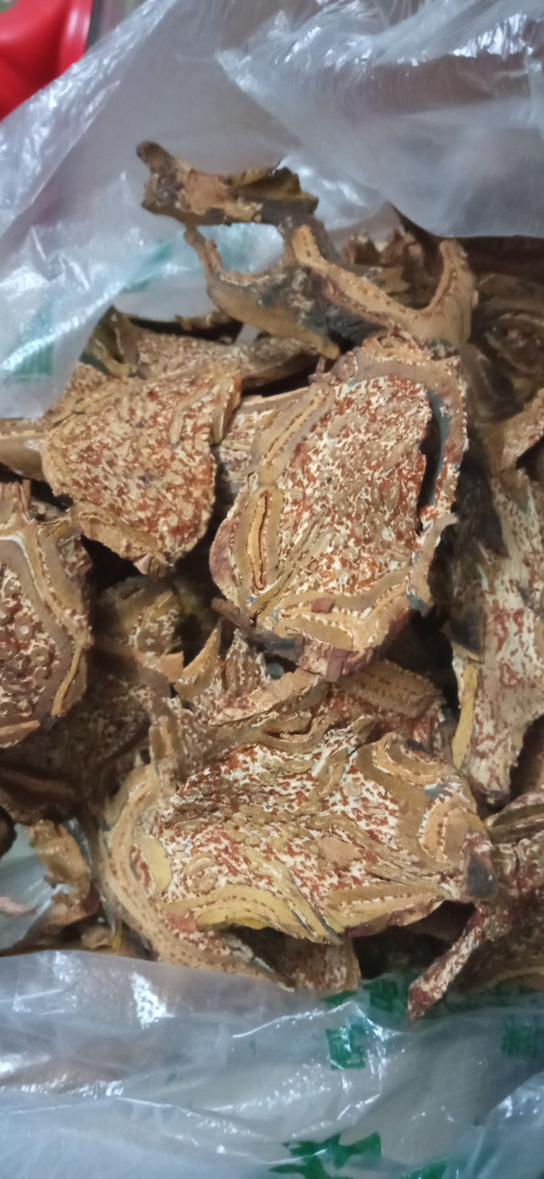 龙骨风 飞天擒罗