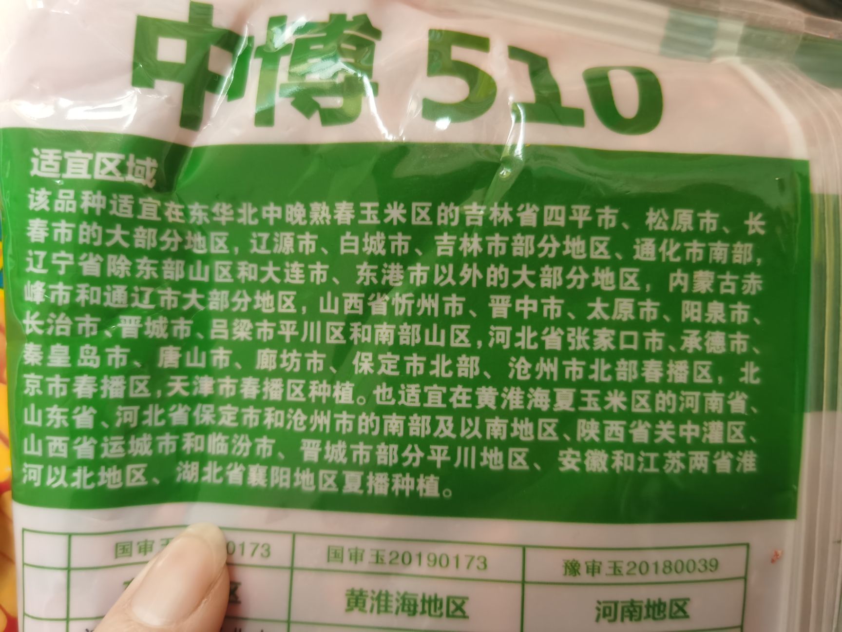 玉米种子 中博510.带小叶,抗台风,高产玉米种,籽粒长,双国审