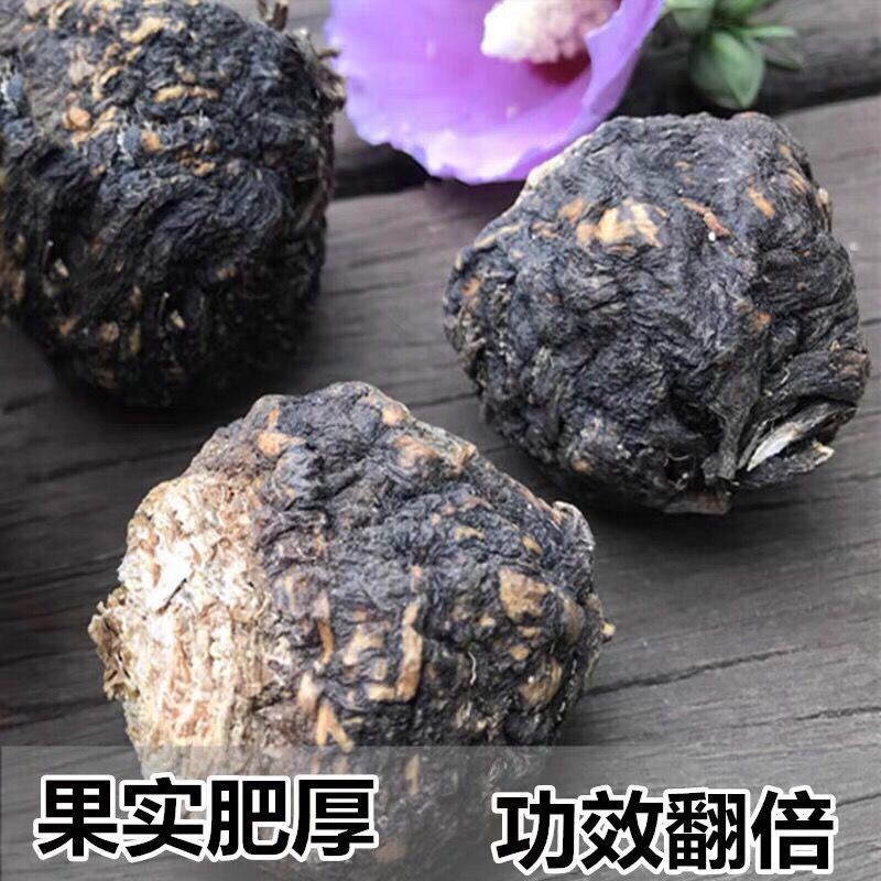 云南黑玛卡泡酒料云南丽江黑玛咖 生玛卡玛咖干果玛卡片男性