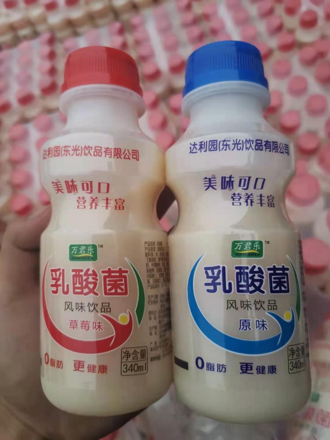 杂粮粉 山东达利园乳酸菌,浓度好,质量保证