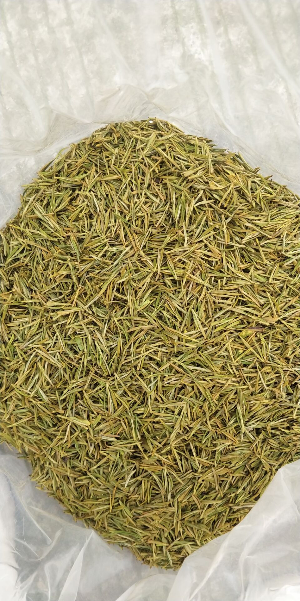 [黄金茶批发]黄金茶 精品黄金叶最后几斤价格960元/斤