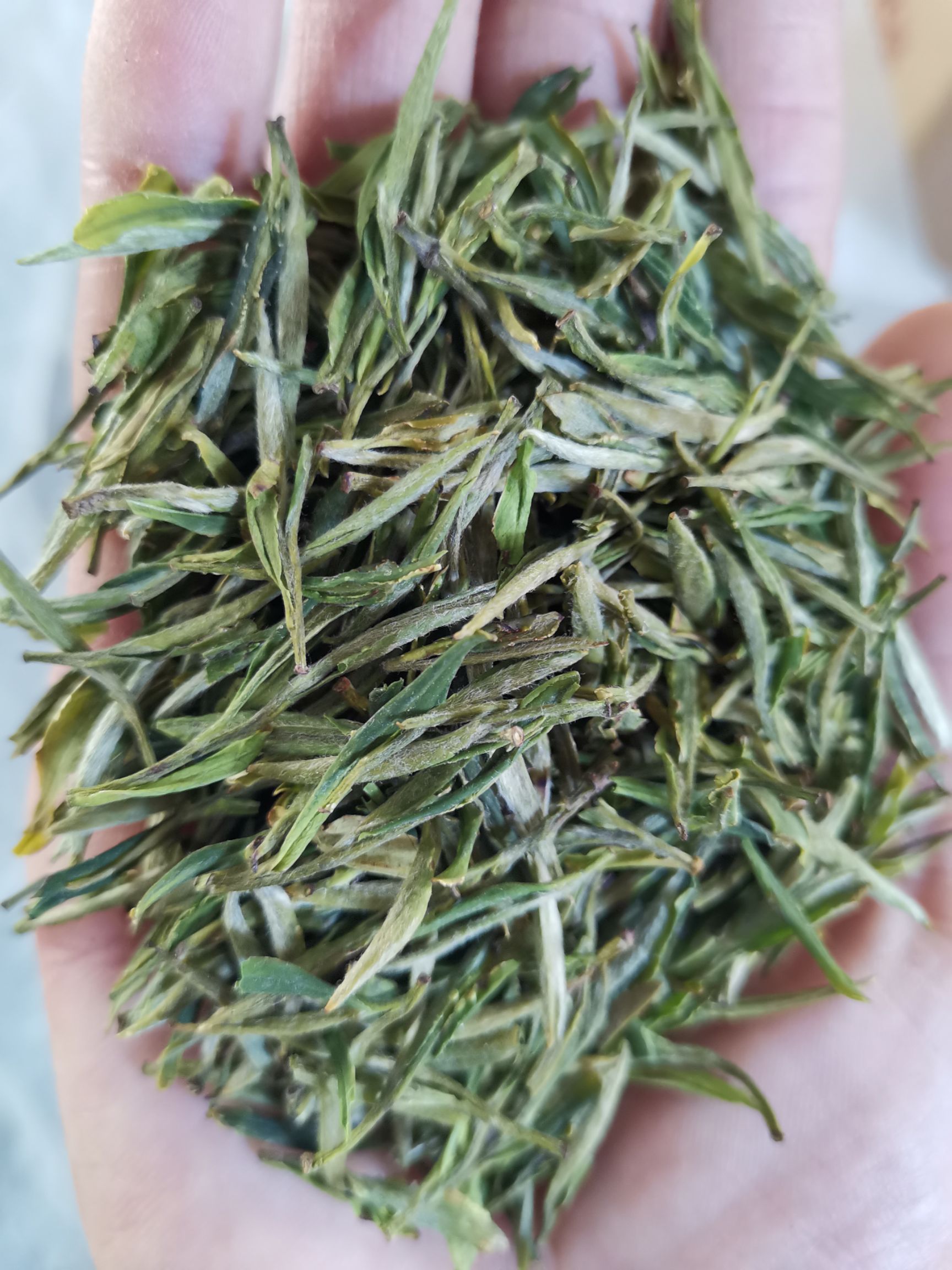 翠兰绿茶2020明前春茶 岳西翠兰名茶国宾礼茶50g袋装