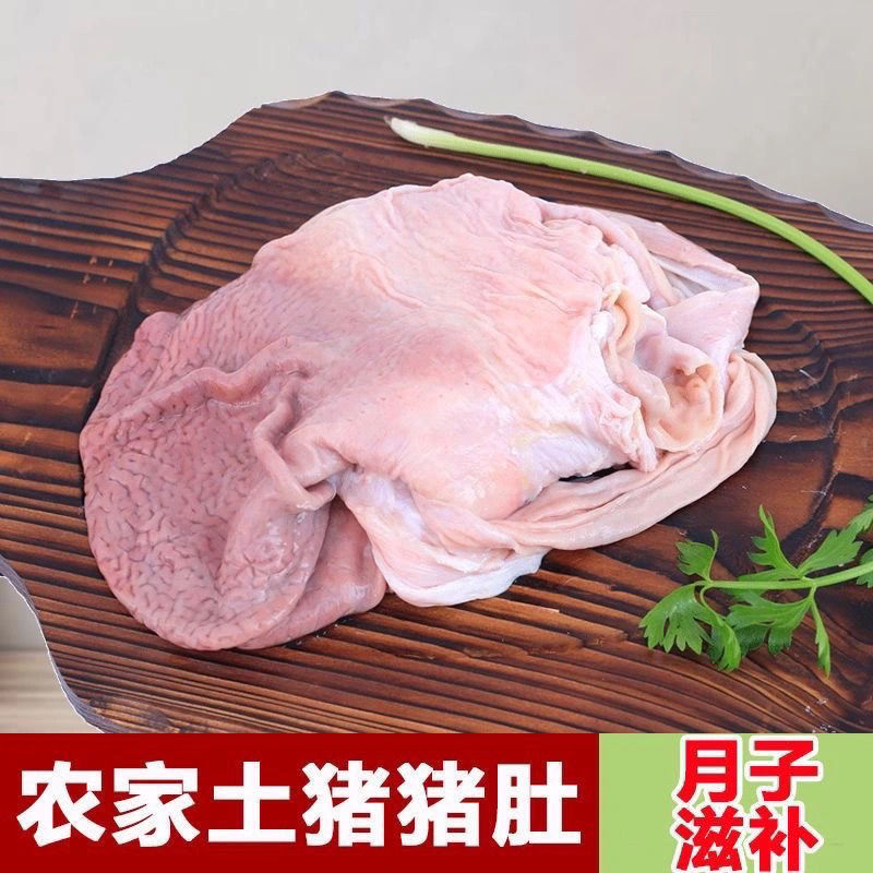新鲜冷冻猪肚20斤整箱 圆猪肚约14个猪胃 一级免洗去油生猪