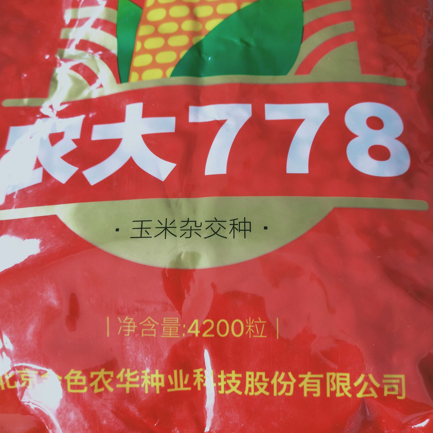 [吉农大778玉米种子批发]吉农大778玉米种子 农大778