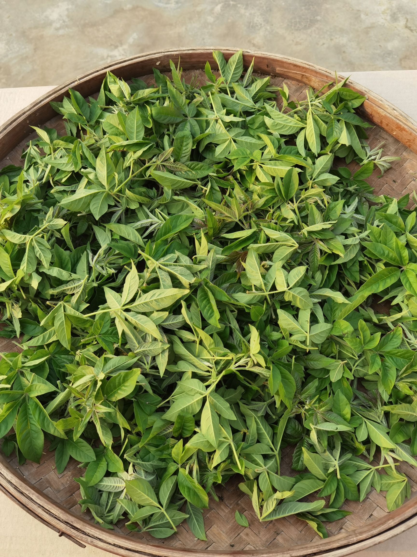 [花草茶批发]花草茶 黄荆茶,布惊茶价格80元/斤