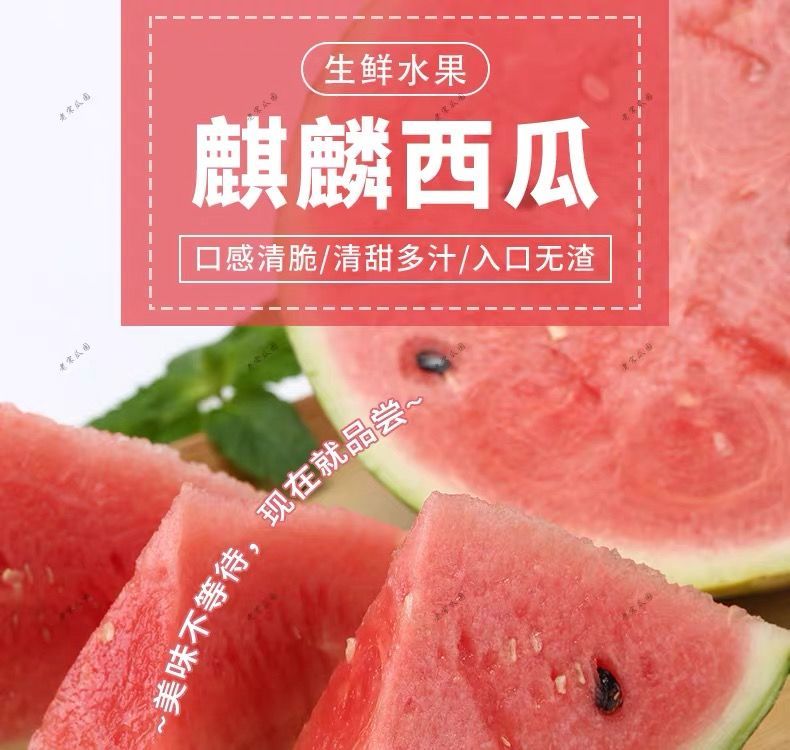 8424麒麟西瓜当季水果薄皮无籽清甜多汁现摘现卖新鲜热带西瓜