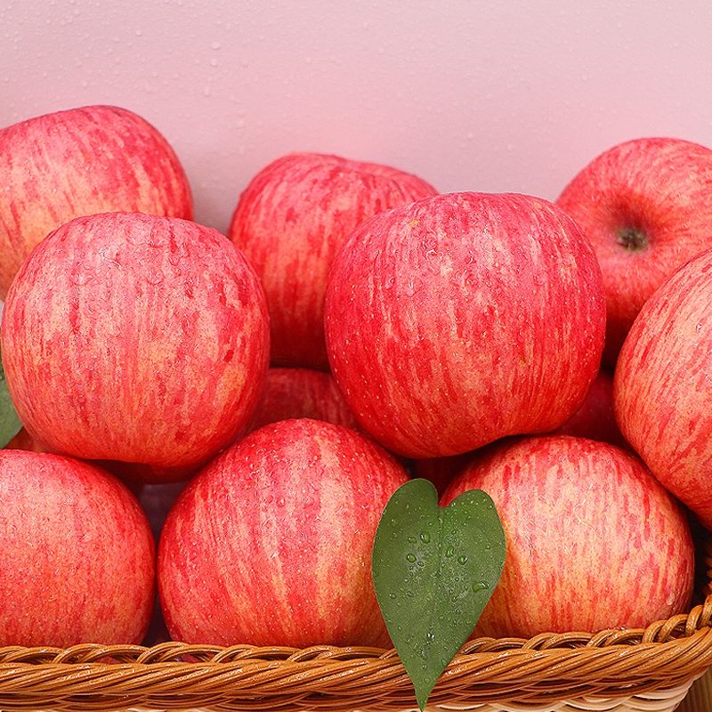 红富士苹果 洛川苹果