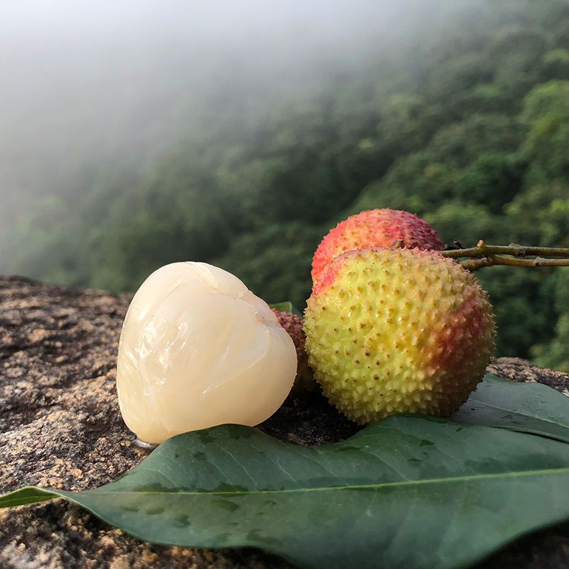 地头通货产地:广东省茂名市高州市品种名:妃子笑荔枝商品属性商品详情