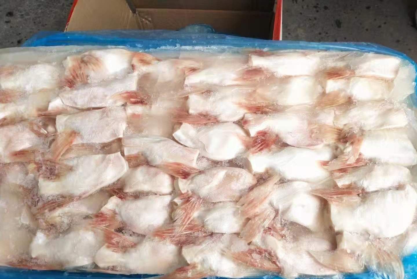 巴沙鱼翅