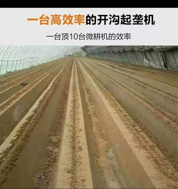草莓开沟起垄机,种地瓜,土豆,豆类,大葱.