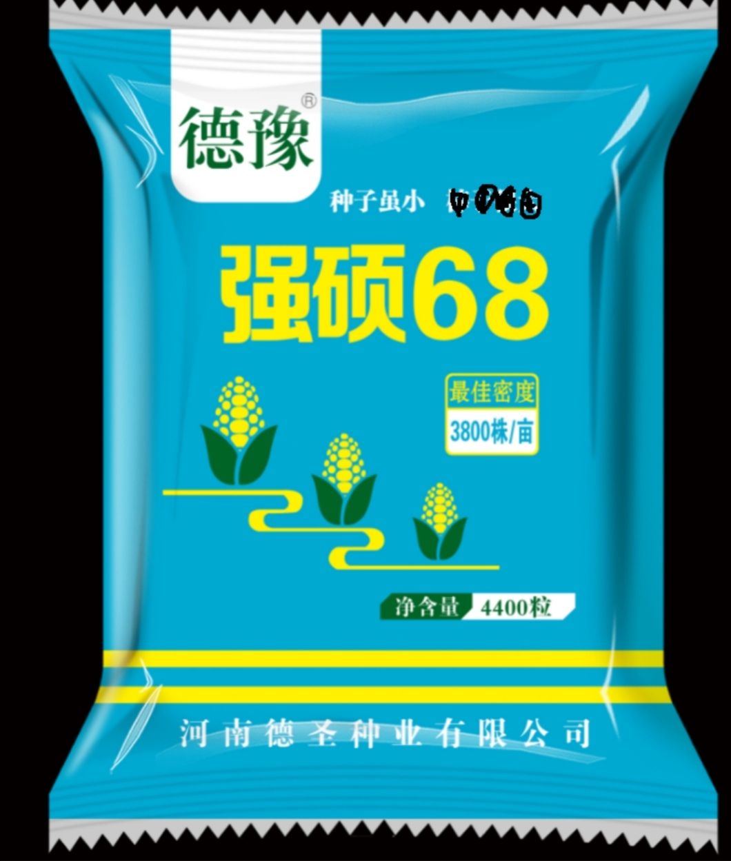 强硕68玉米种子,果穗锥形,穗轴红色,籽料黄包,马齿型