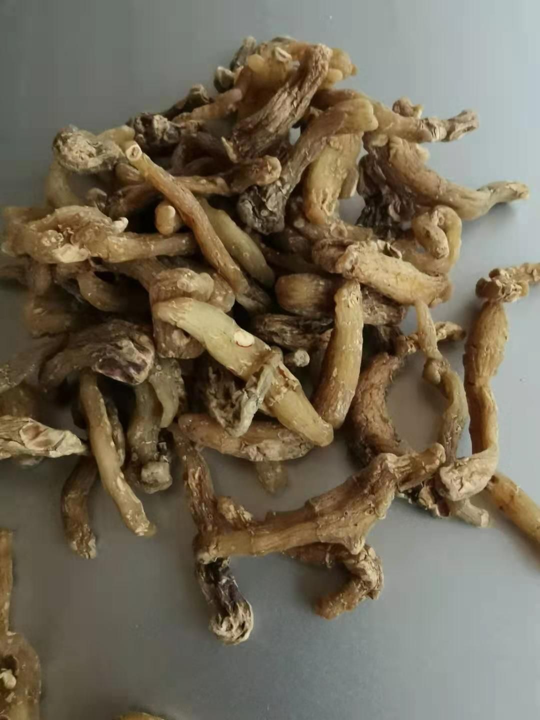 湘玉竹 玉竹头