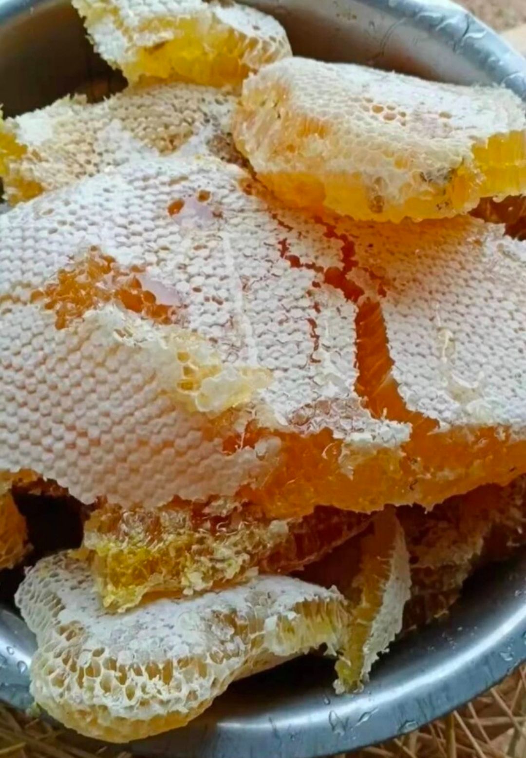 土蜂蜜 云南腾冲纯蜂蜜