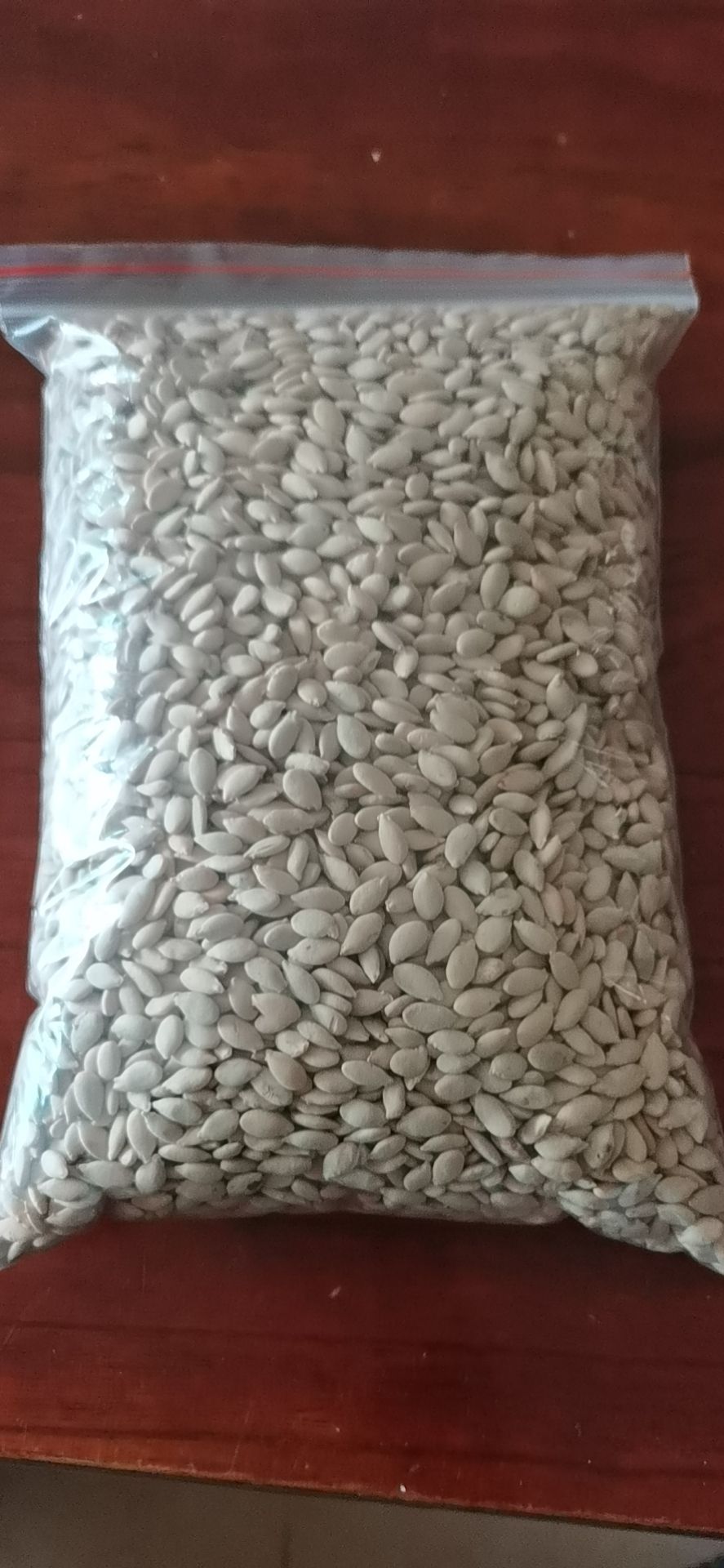 长白皮冬瓜种子