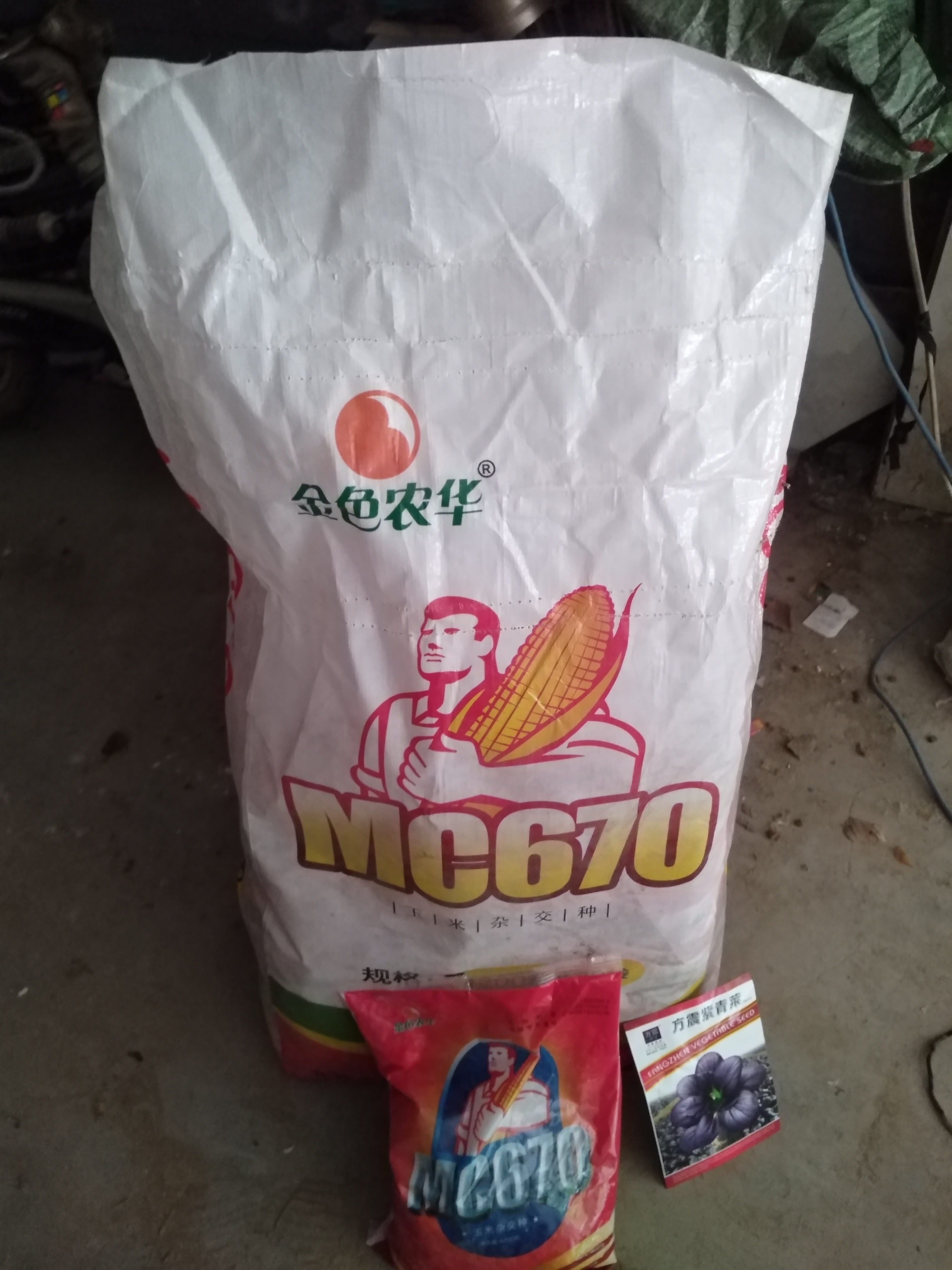 mc670玉米种子 棒子大,品质好,产量高!再创全国最高产纪录亩产3034斤!