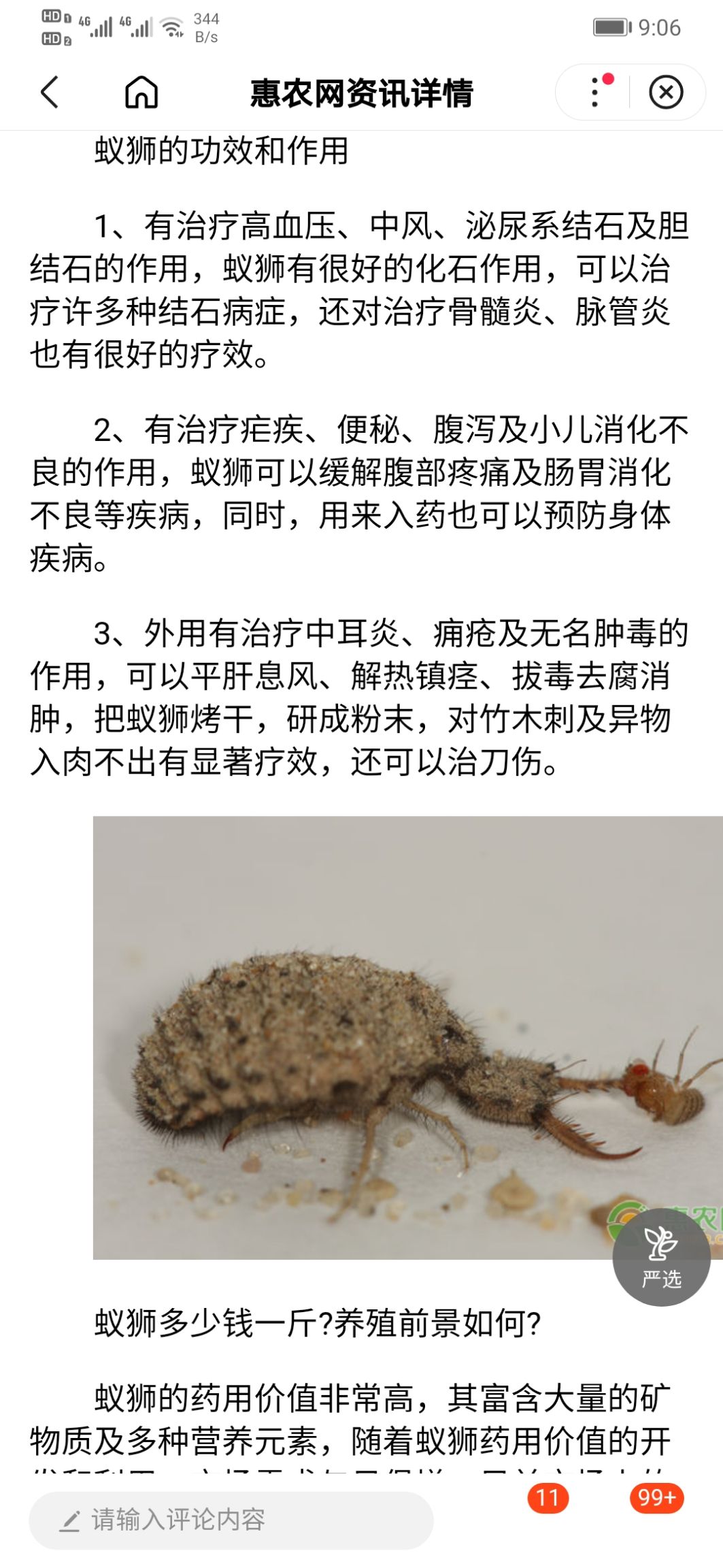 蚁狮/金沙牛/地牯牛